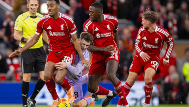 Liverpool vs Brighton: Preview, Possible Lineups & Prediction